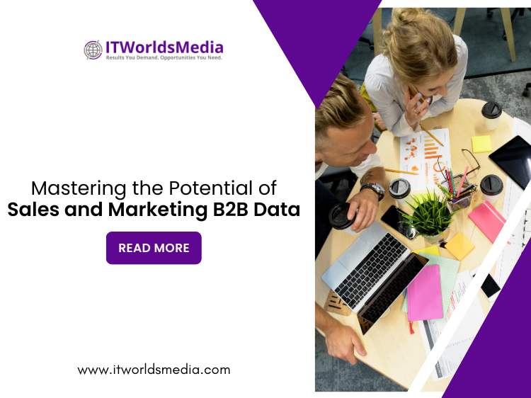 Mastering the Potential of Sales and Marketing B2B Data